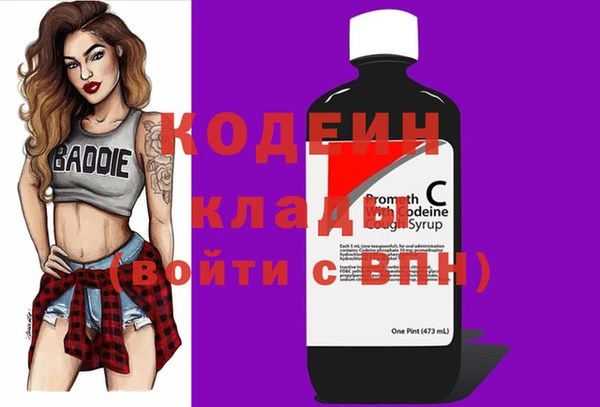 прущие грибы Абинск