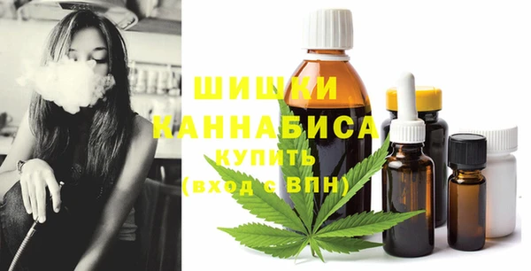 прущие грибы Абинск