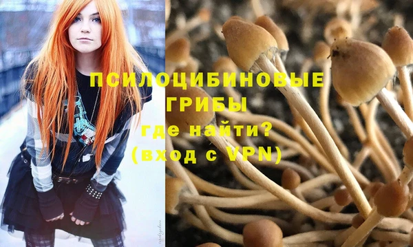 не бодяженный Ростов